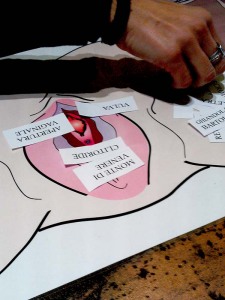 poster anatomia vulva violetab