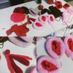 modello anatomico vagina1