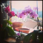 img_20130506_070759